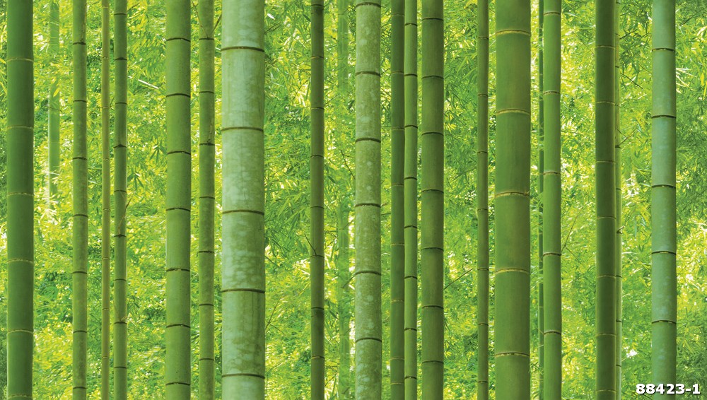 Giấy dán tường tre xanh 88423-1